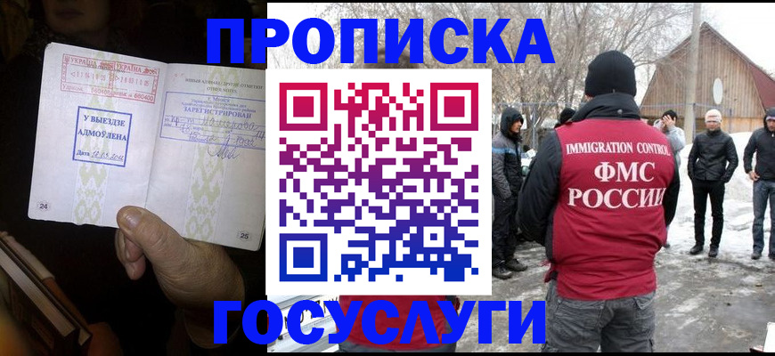 прописка поиск в Новозыбкове
